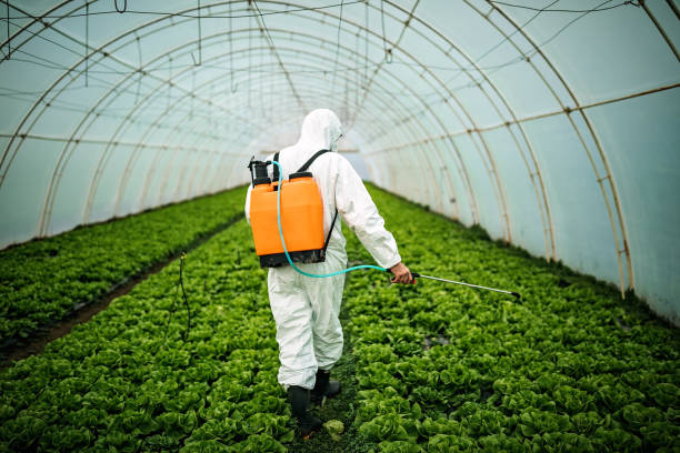 Best Local Pest Control Services  in Dakota City, NE