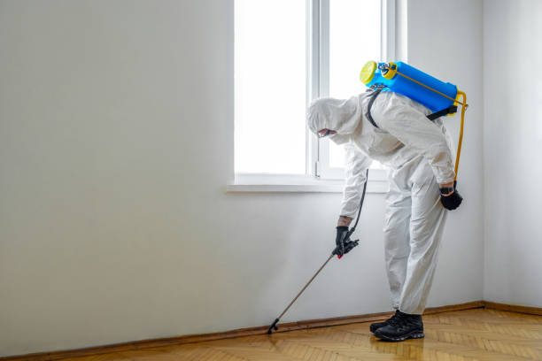 Best Pest Prevention Services  in Dakota City, NE