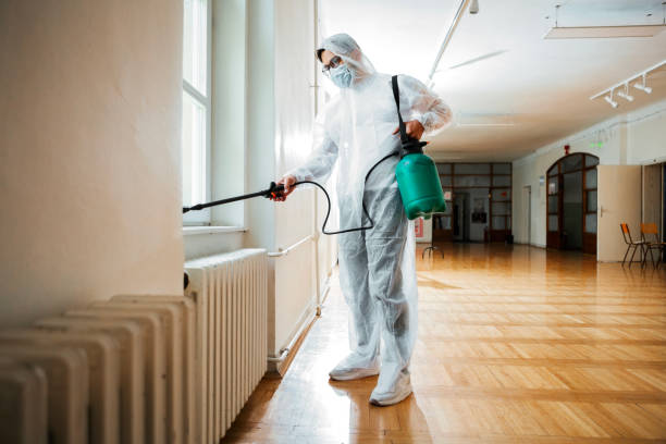 Best Pest Prevention Services  in Dakota City, NE