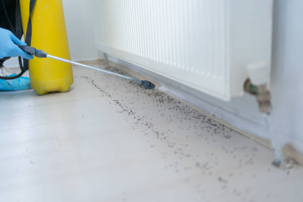 Best Bed Bug Extermination  in Dakota City, NE