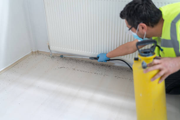 Best Pest Control for Businesses  in Dakota City, NE